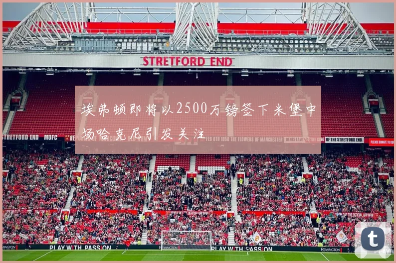 埃弗顿即将以2500万镑签下米堡中场哈克尼引发关注